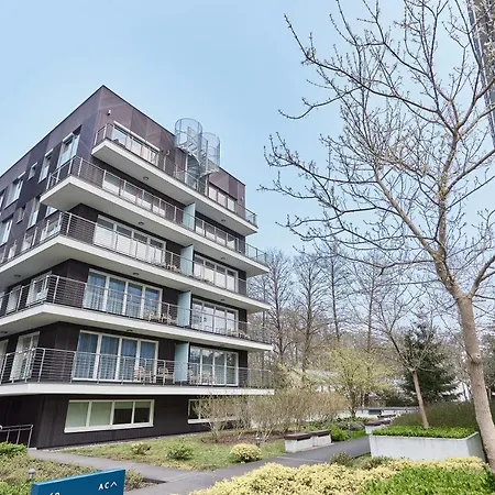 Penthouse C52 - Golden Tulip *